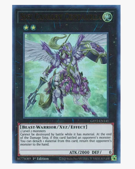 Sky Cavalry Centaurea (R30 Shipping Available) #A9