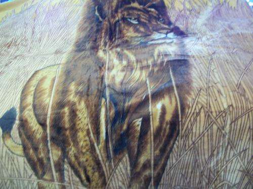 BLANKET (QUEEN SIZE)