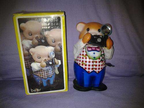 Bear with Flash Camera