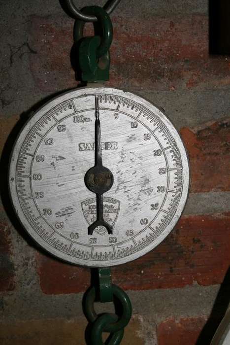 Salter scale weighs in pounds