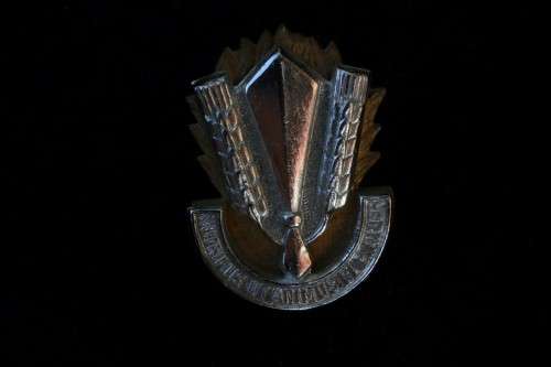 Beret badge