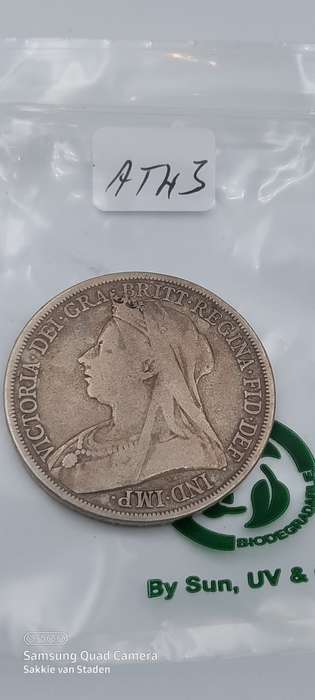 1893 crown