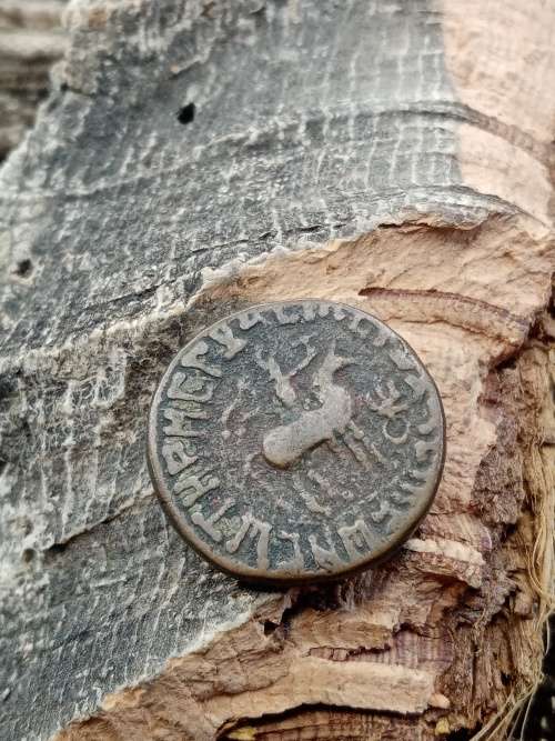 Ancient Coin Original