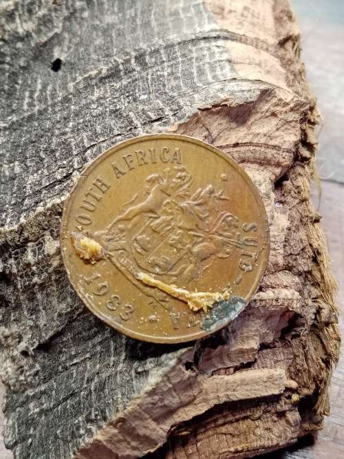 South Africa 1983 2 cent