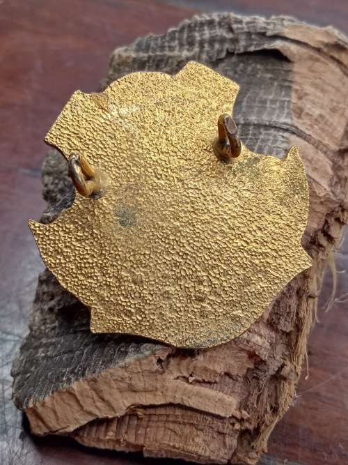 Spero Meliora Badge