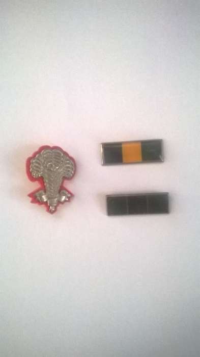 Beret Badges - 1SAI