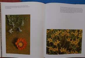Garden of the Gods, by Freeman Patterson (signed by author)