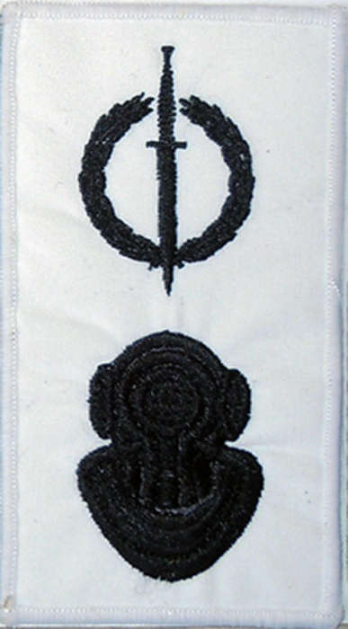 Proposed Recce & Diver - Not Attack Diver (Black on White Nutria) [Fantacy Flash]