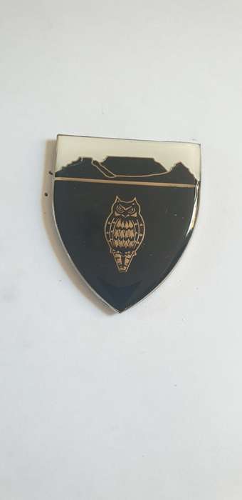 SADF Military Intelligence Cape Regional Office shoulder flash