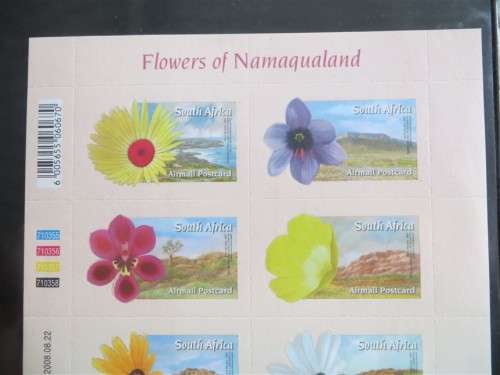 Flowers of Namaqualand Sheet Self Adhesive