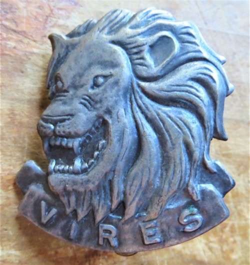 SA Army `VIRES` Lion Badge