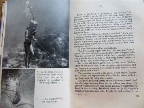 Diving to Adventure - Hans Hass - Harpoon & Camera under the Sea 1953