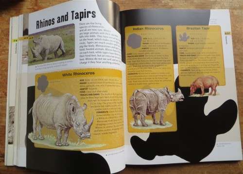 Animal Tracks and Signs - Jinny Johnson
