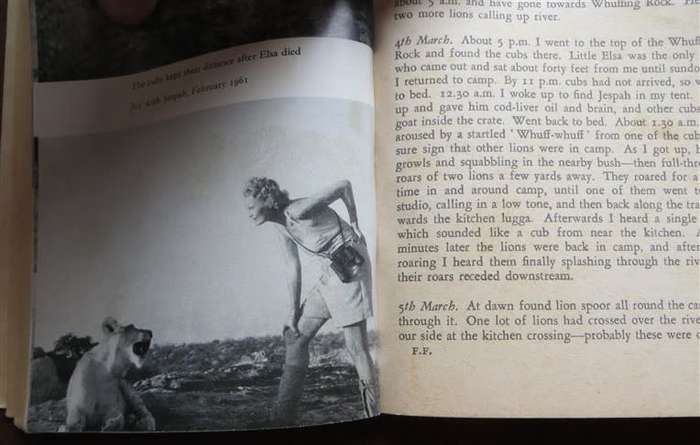 Forever Free - Elsa`s Pride - Joy Adamson