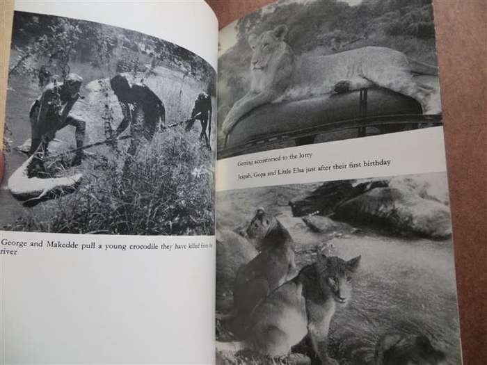 Forever Free - Elsa`s Pride - Joy Adamson
