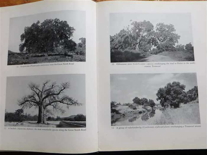 TREES OF SOUTH AFRICA - Palmer & Pitman VOL.1 1961