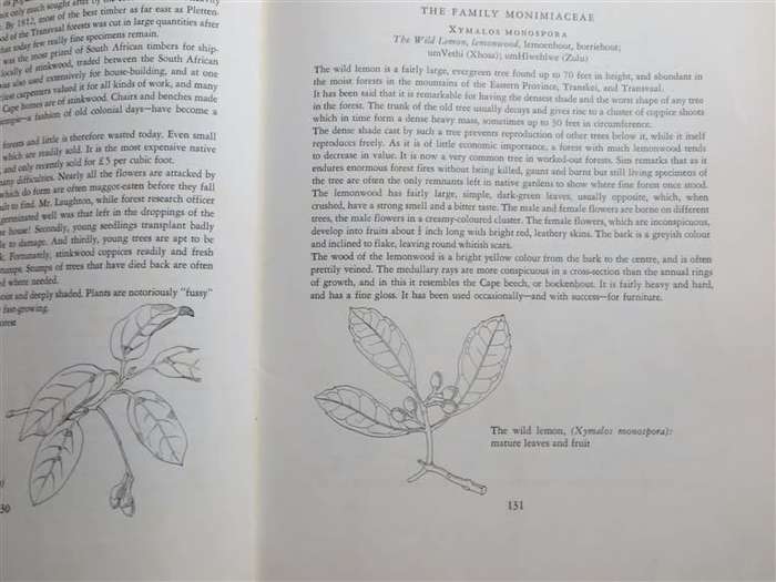 TREES OF SOUTH AFRICA - Palmer & Pitman VOL.1 1961