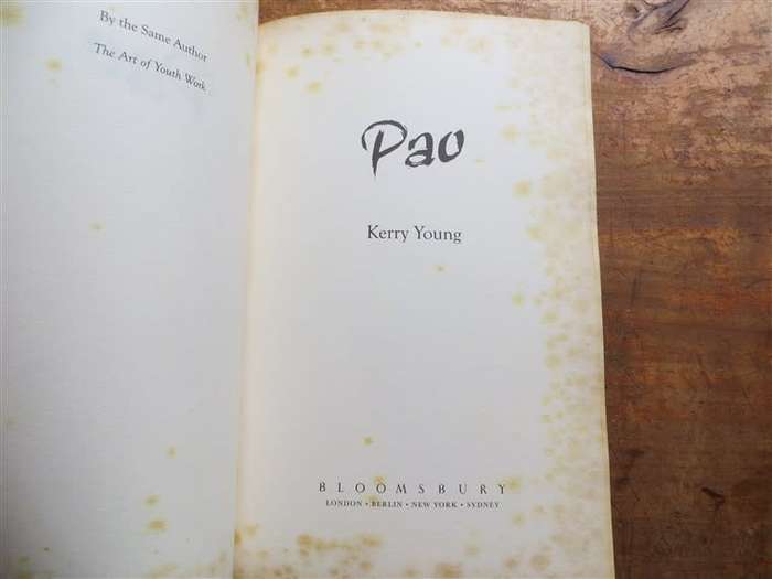 PAO - Kerry Young - rust spots and foxing