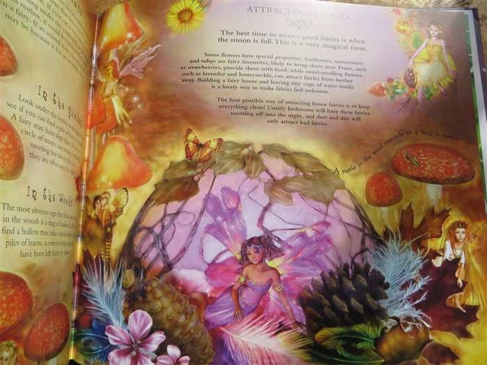 Fairyland Magic - Hardcover + CD - Alison Majoney