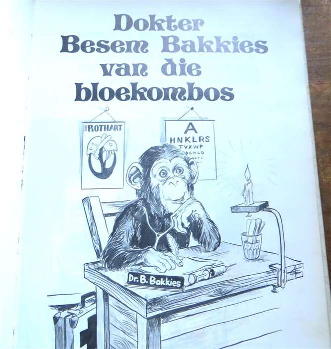 Dokter Besem Bakkies van die Bloekombos - Ella van der Mescht