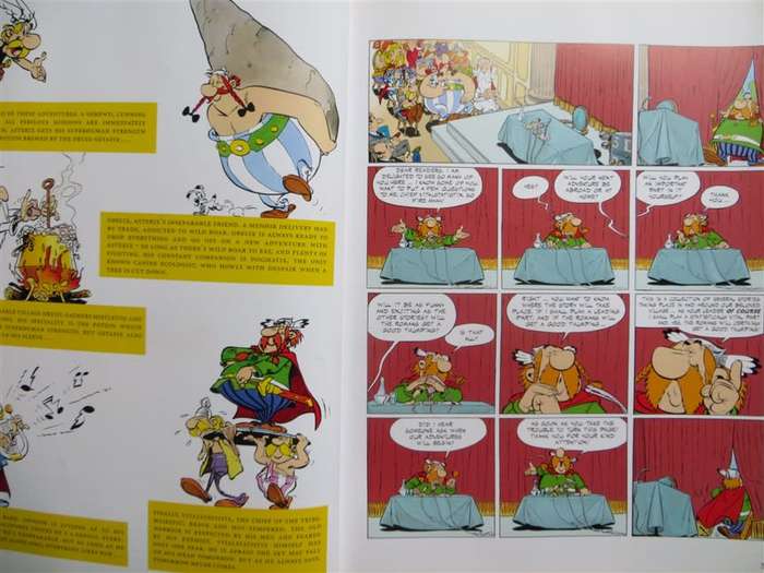 Asterix & the Class Act
