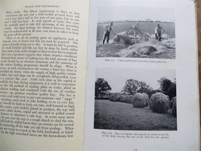 1959 Silage & Haymaking - Ian Moore