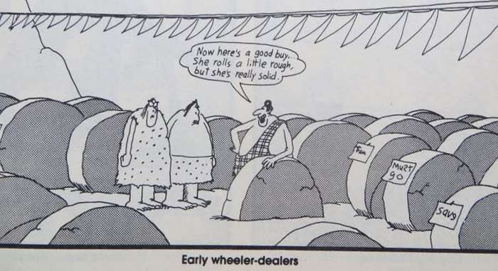 The Far Side Observer - Gary Larson
