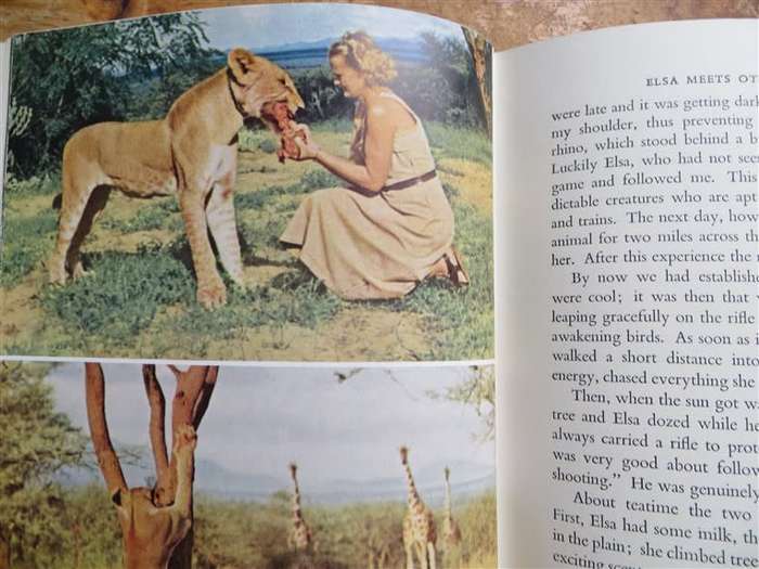Born Free - Joy Adamson - Lioness of two worlds