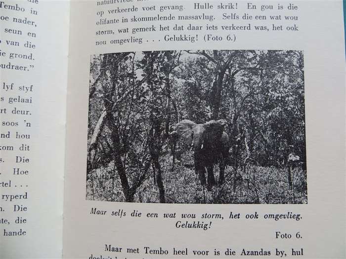 Tembo - The Azandajagter - T.G.Nel