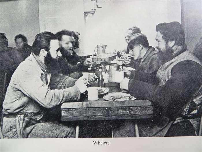 There She Blows! Hakon Mielche - 1952 1st Edition - Whalers