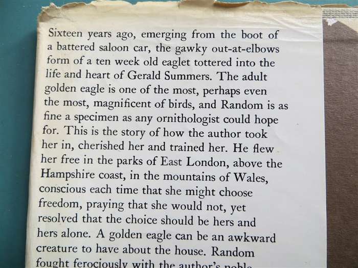 Owned by an Eagle - Gerald Summers 1976 1st Edition