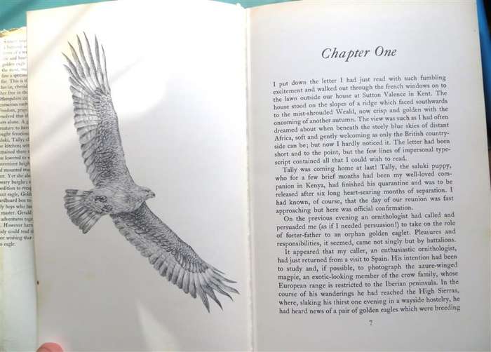 Owned by an Eagle - Gerald Summers 1976 1st Edition
