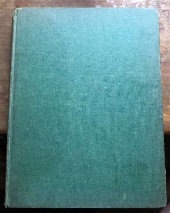 Rhinos belong to Everybody - 1964 hardcover - Bernhard Grzimek