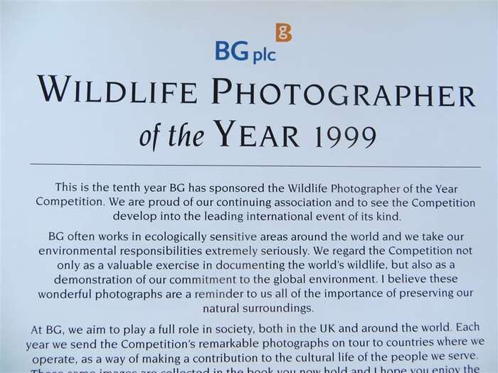 Wildlife Photographer of the Year - Hardcover - Great Pics