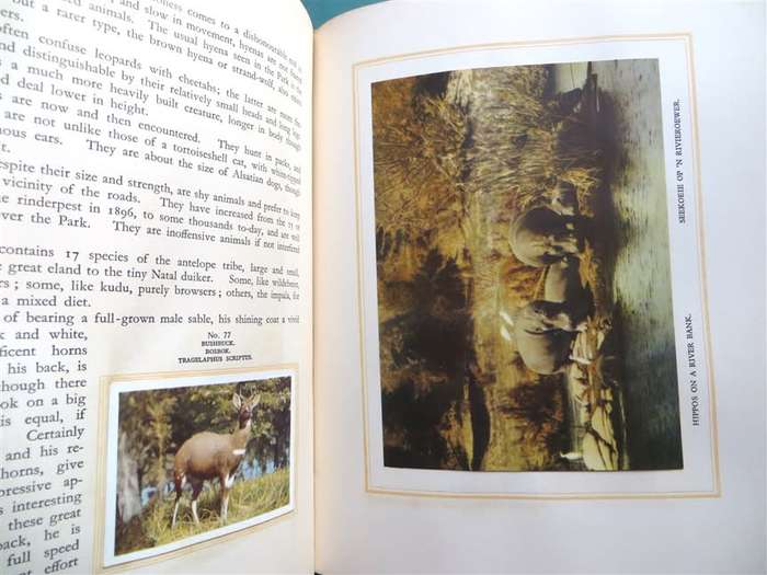 National Parks Cigarette Card Collection in Album - Complete