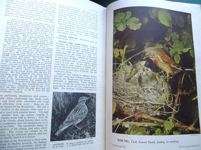 Encyclopedia of British Birds - Ludwig Koch - see water damage