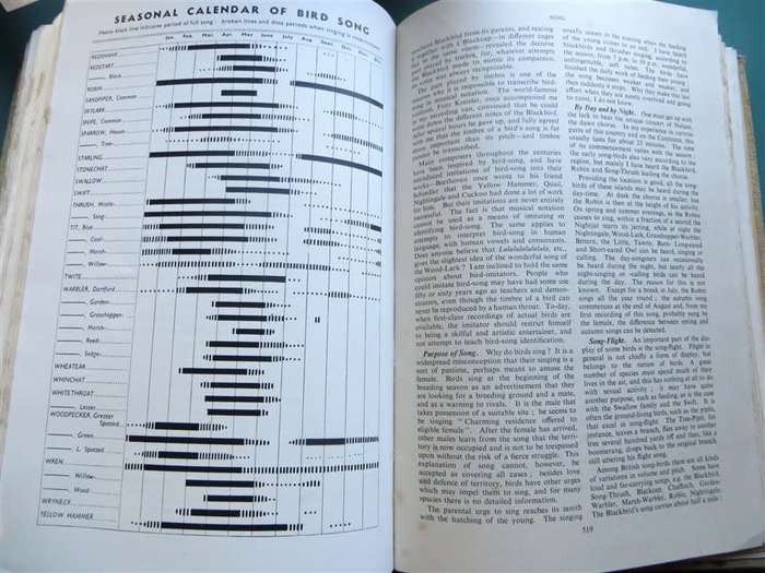 Encyclopedia of British Birds - Ludwig Koch - see water damage