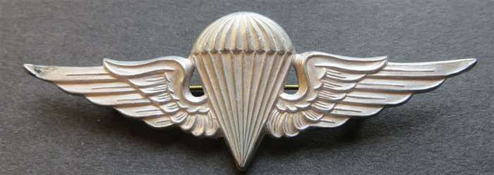 Syria/Egypt Paratrooper Jump Wings Metal Badge