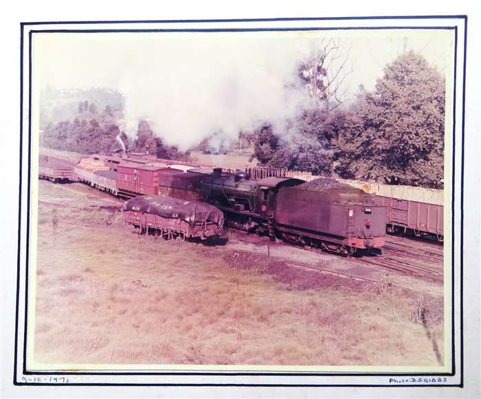 SAR/SAS Original Steam train photo 250mmx190mm - D.S Gibbs 1971 - Foxing present