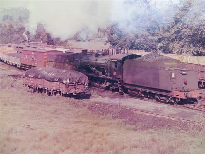 SAR/SAS Original Steam train photo 250mmx190mm - D.S Gibbs 1971 - Foxing present
