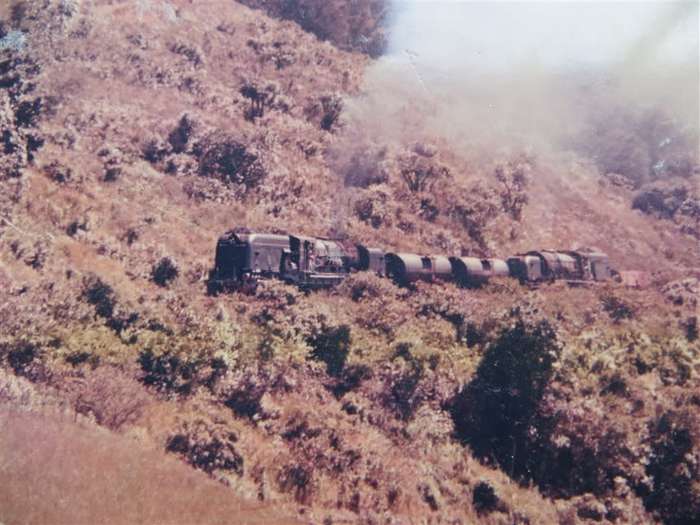 SAR/SAS Original Steam train photo 250mmx190mm - D.S Gibbs 1972 - Foxing present