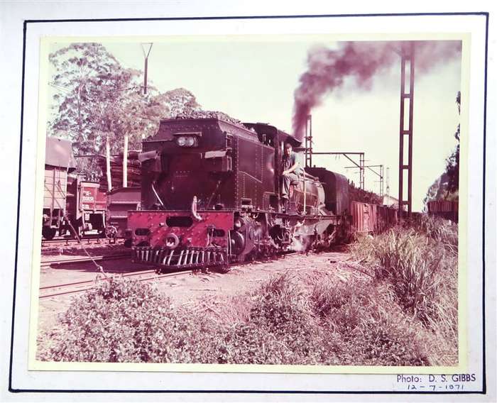 SAR/SAS Original Steam train photo 250mmx190mm - D.S Gibbs 1971 - Foxing present