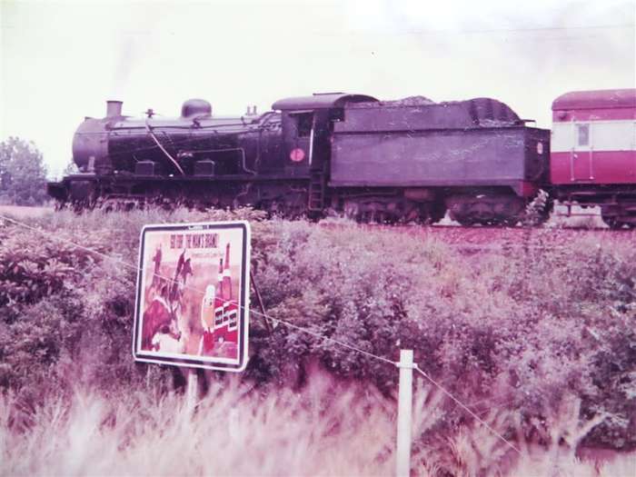 SAR/SAS Original Steam train photo 250mmx190mm - D.S Gibbs 1972 - Foxing present