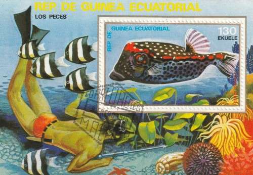 Guinea Guinee Equatorial - Miniature Sheet CTO - Tropical Fish