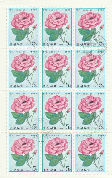 North Korea DPR - 1979 - Roses Flowers