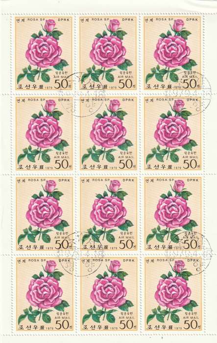 North Korea DPR - 1979 - Roses Flowers