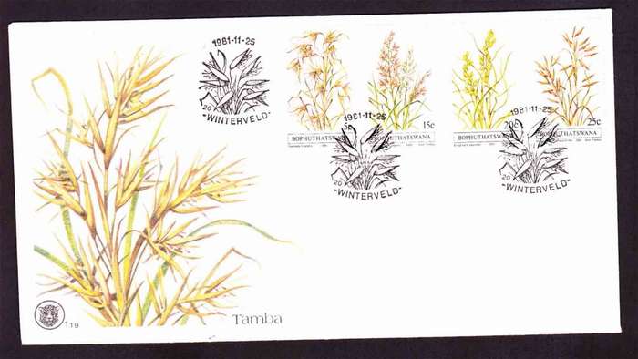 Bophuthatswana - 1981 - Indigenous Grasses Grass - First Day Cover - Small