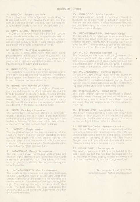 Ciskei - 1981 - Birds First Definitive - First Day Large Card