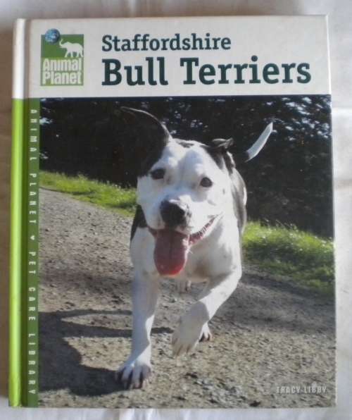 Staffordshire bull terriers