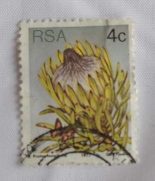 RSA 4c